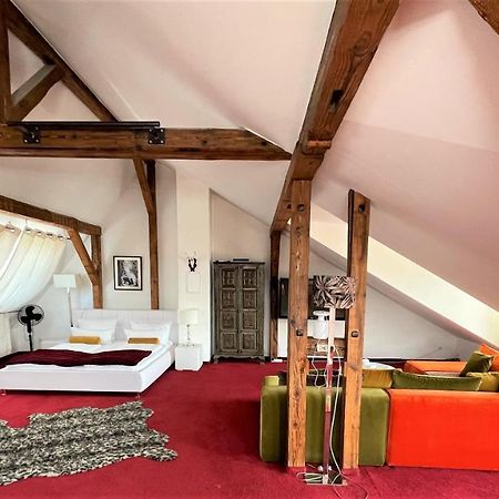 City Penthouse Mit Dachterrasse Freiburg im Breisgau Exteriör bild