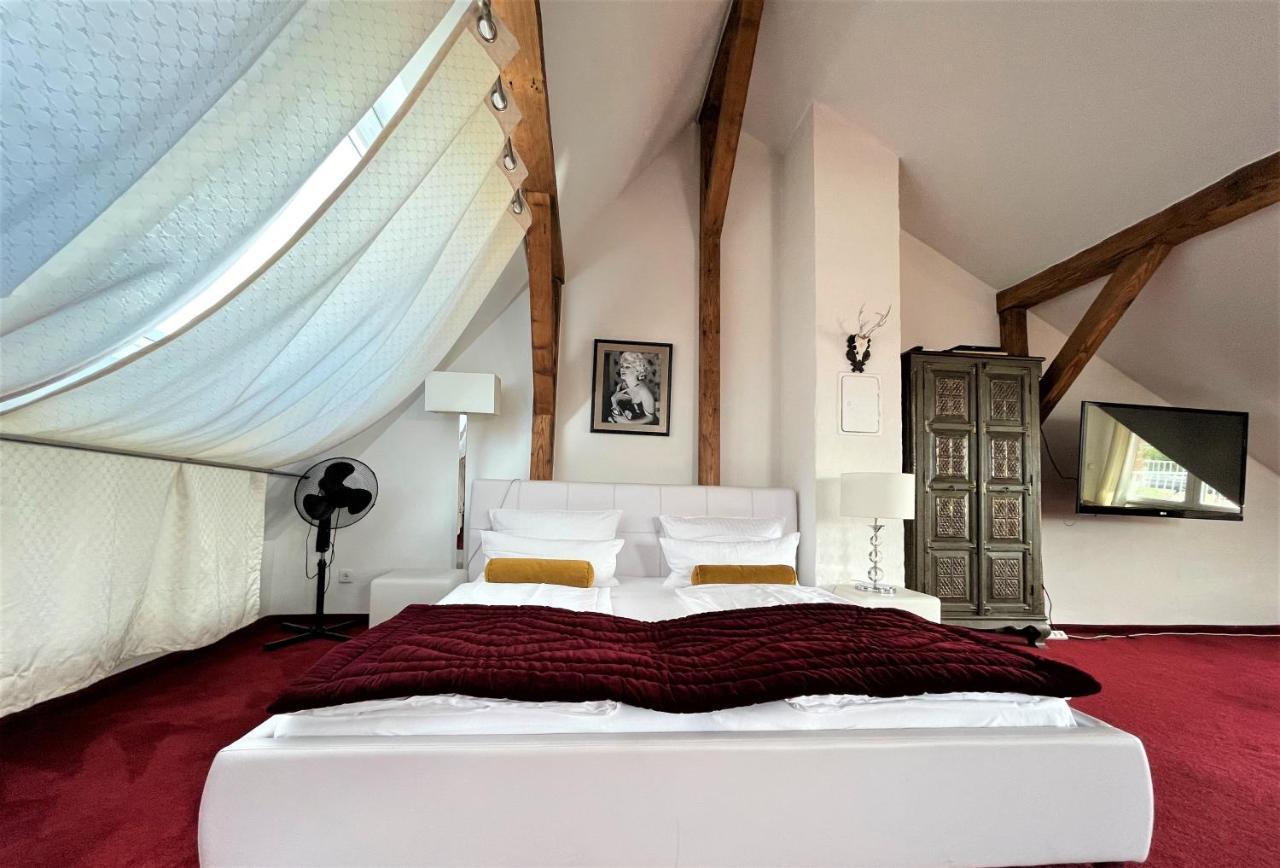 City Penthouse Mit Dachterrasse Freiburg im Breisgau Exteriör bild